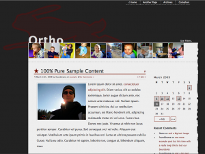 Ortho 1.0 screenshot