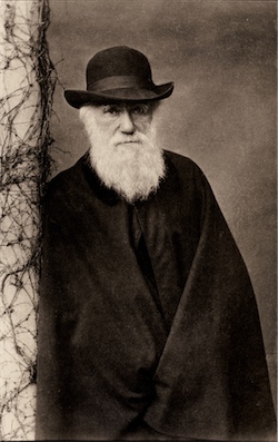 Portrait of Charles Darwin, © Auckland Museum.