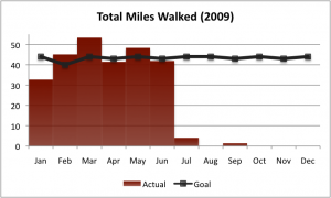 2009-Q3-walking-goal