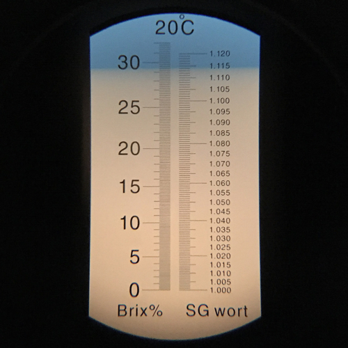 post-boil, pre-top-off refractometer reading