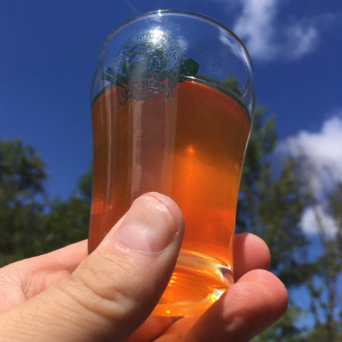 brew day sample